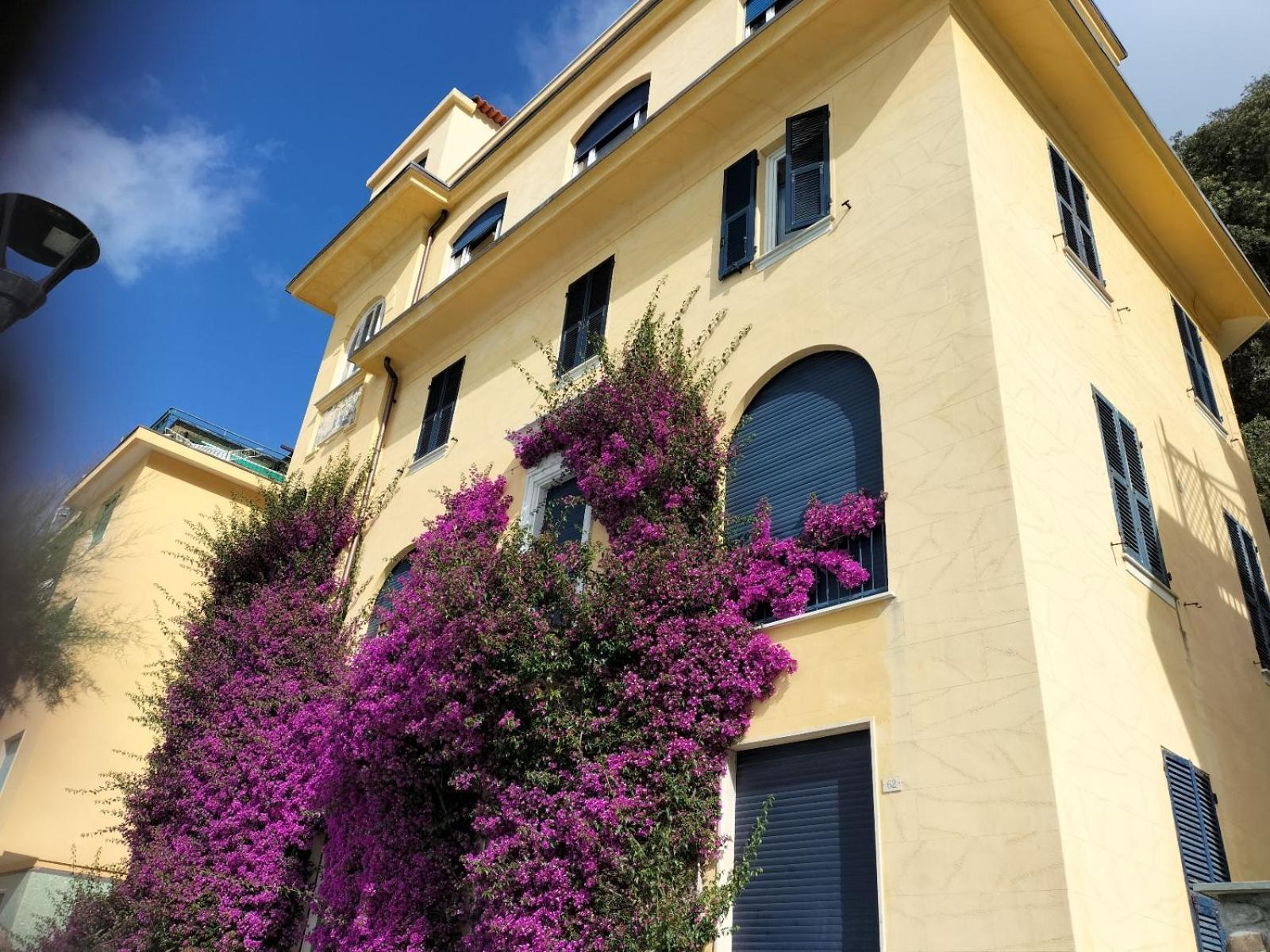 La Bouganville Beatiful Sea View Monterosso al Mare Bagian luar foto